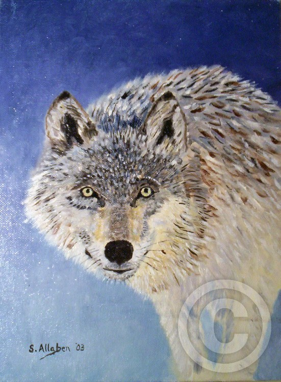 Wolf Study