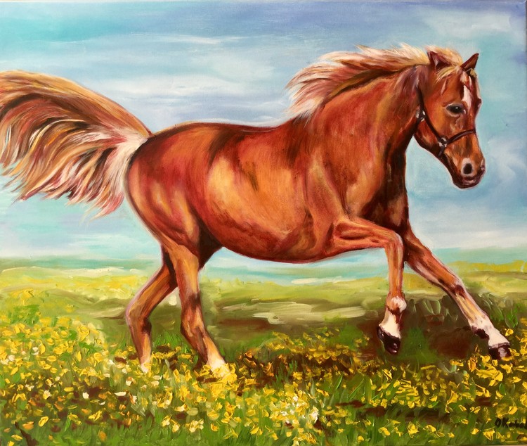 Horse on the field
