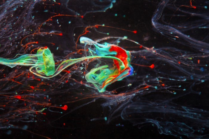 Starborn - Abstract Art Photography