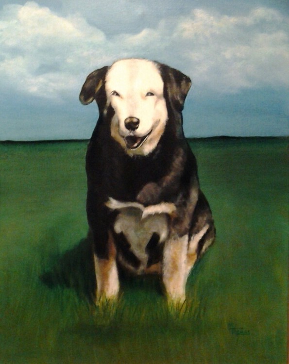 Dog Portrait