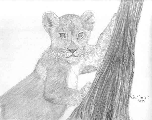 Lion Cub