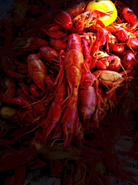AW 1020184 Digital Dry Brush Crawfish Mud Bugs
