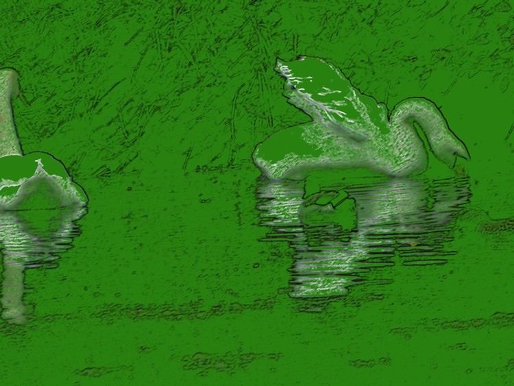 FA 0947 Swans Colored Pencil