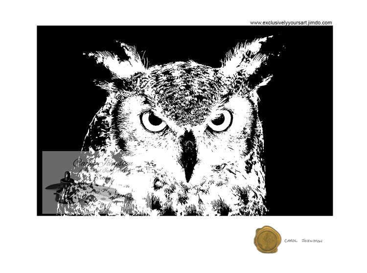 CJ Owl