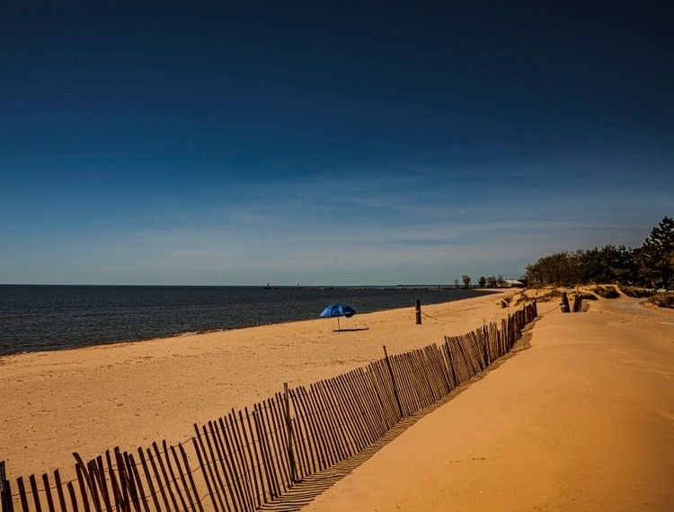 At the Beach - May 9 16 2026 1