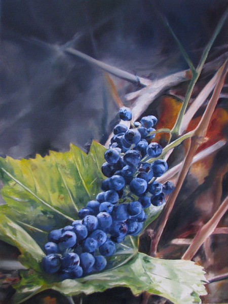Blaufankisch (Hungarian kekfrankos)