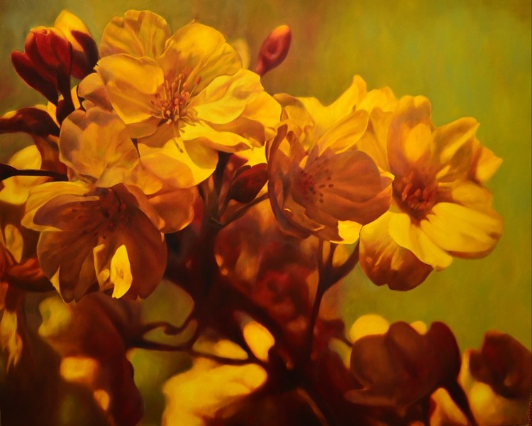 Golden sakura