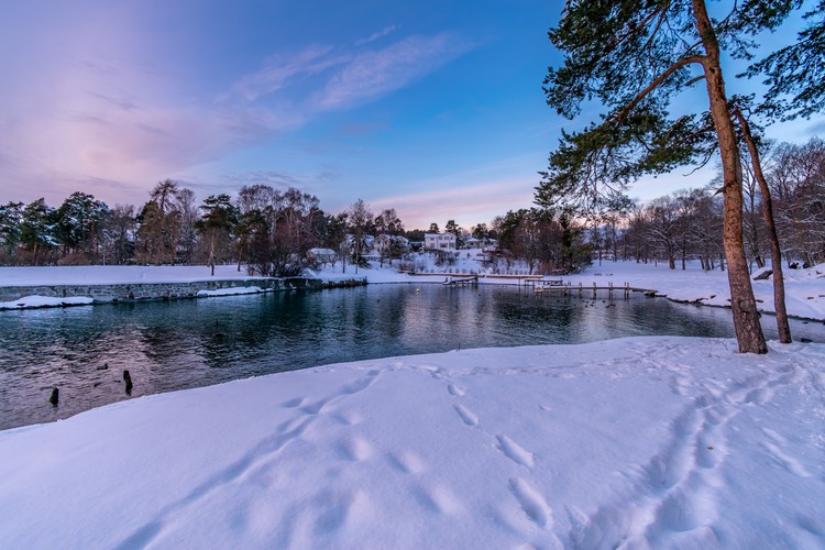 Snow trails
