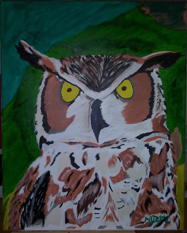 Horned owl