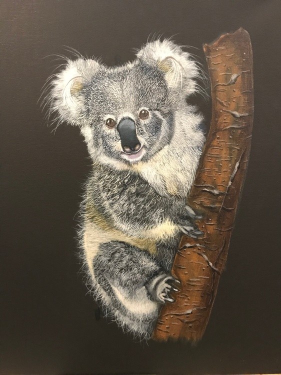 KOALA BEAR