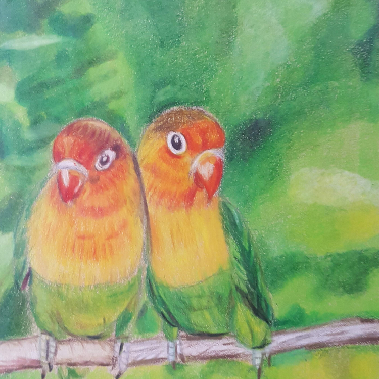lovebirds colorpencil drawing 