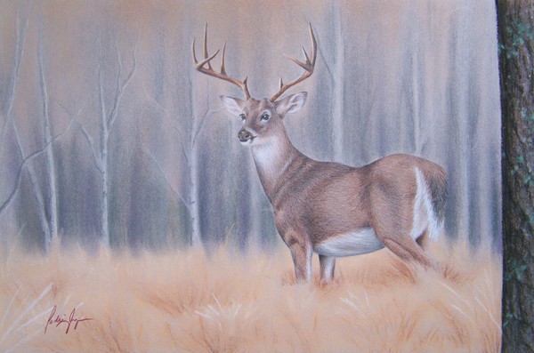 Big Buck