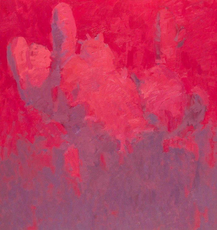 Cactus-Magenta Dream