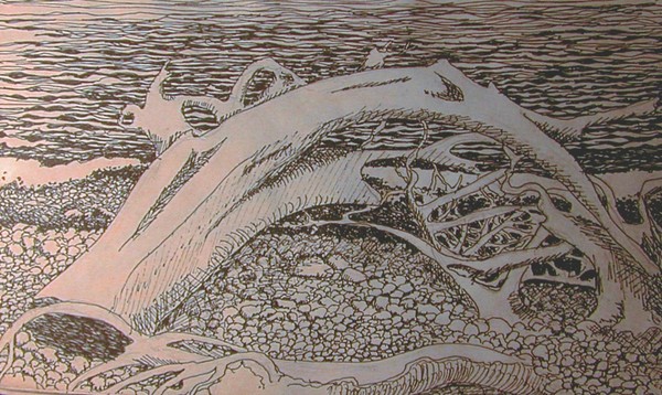 sunsethue driftwood
