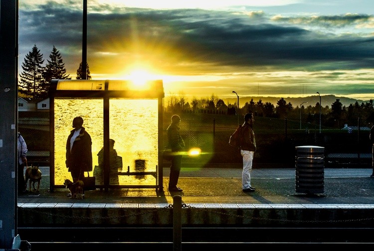 Sun up bus stop
