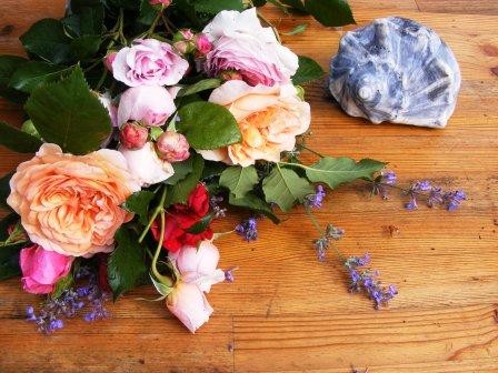 Roses and a Shell
