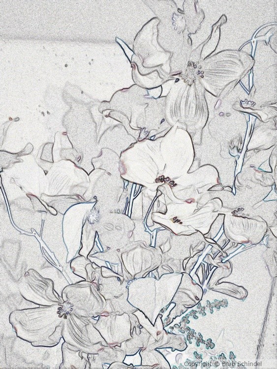 Floral in the Breeze