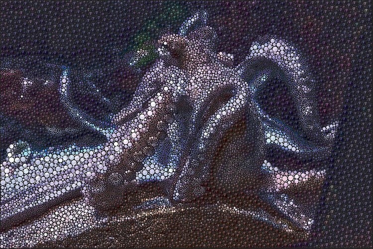 The Marbllous Octopus