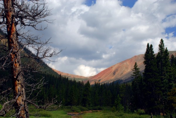Webster Pass 2