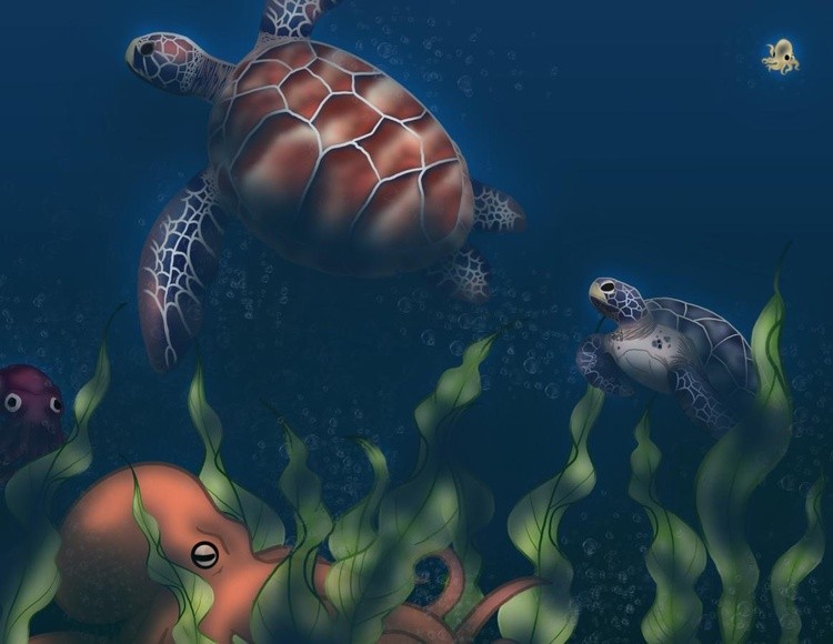 turtles