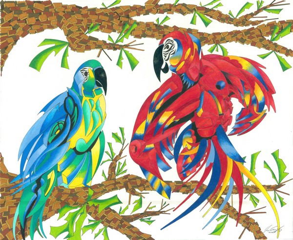 Parots-2