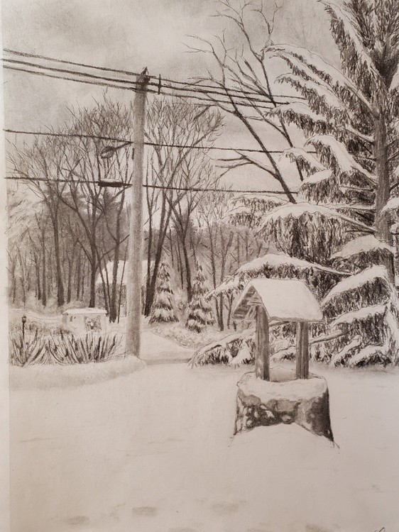 January Storms