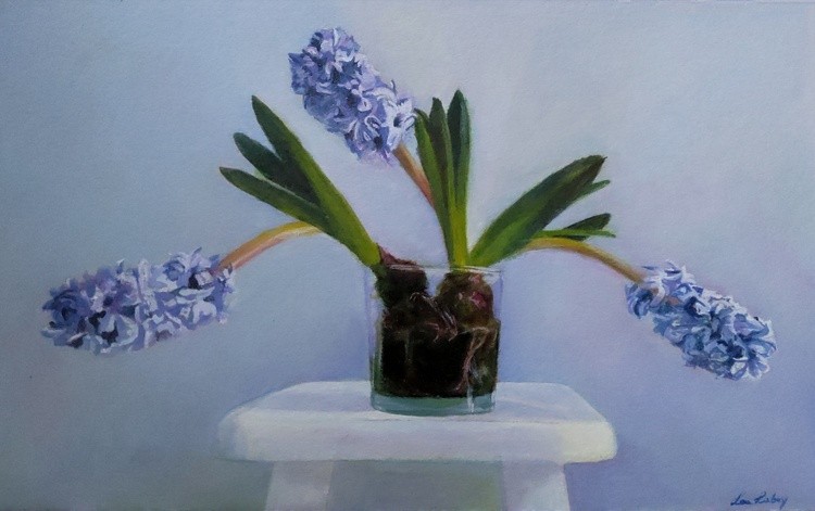 Blue hyacinths