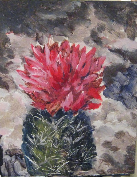 Barrel Cactus Bloom