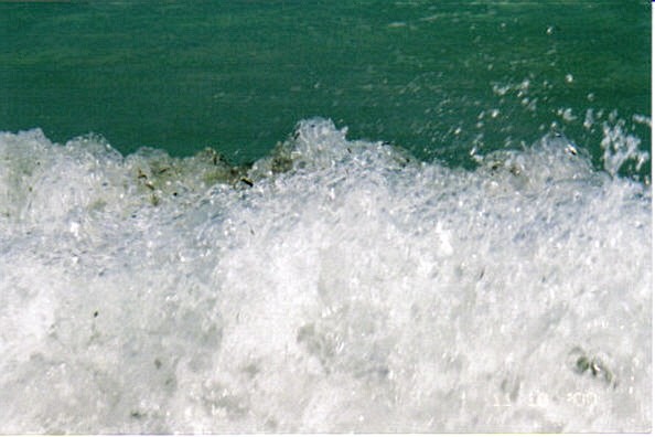 Boiler