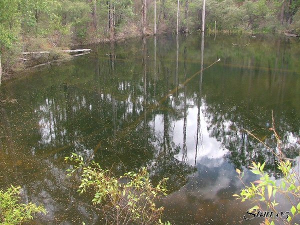 Water Reflections