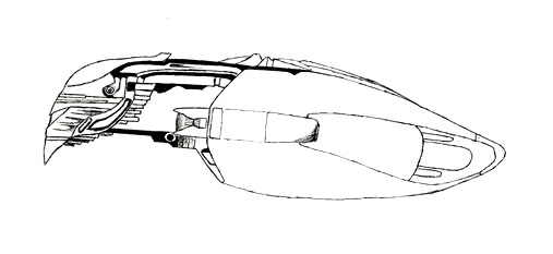 Warbird Plain