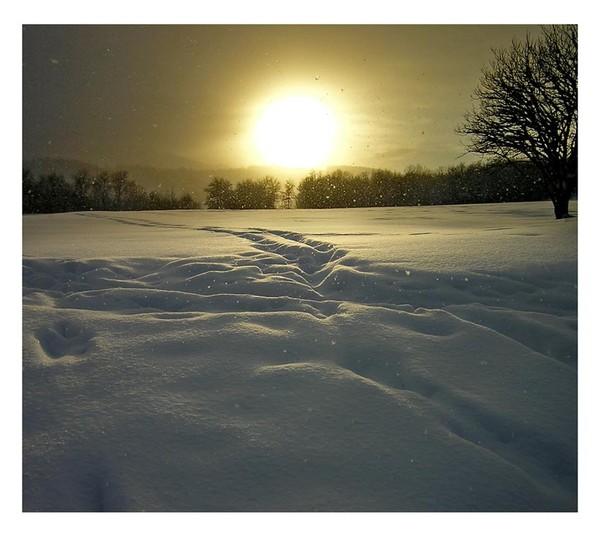 Winter mood