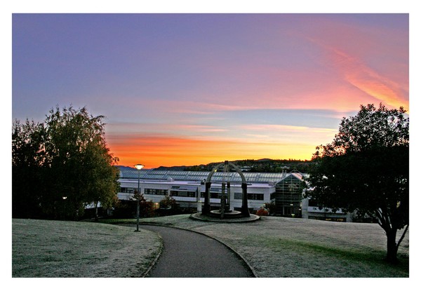 After first Frost night