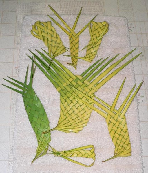 Palm palms