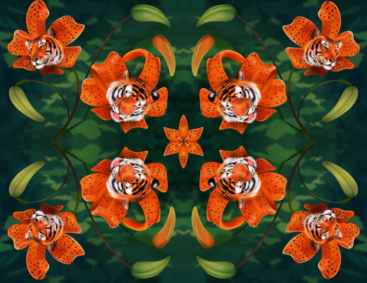 Tiger Liliy Pattern
