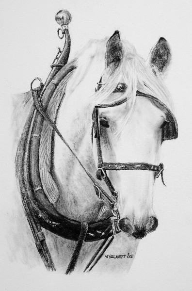 Work Horse