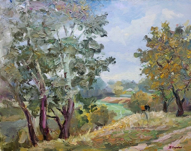 Silver poplars