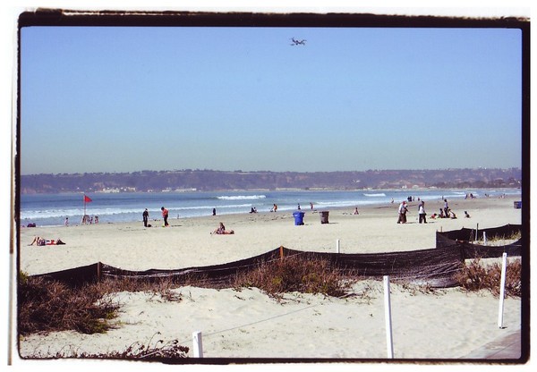 Great day for the beach
