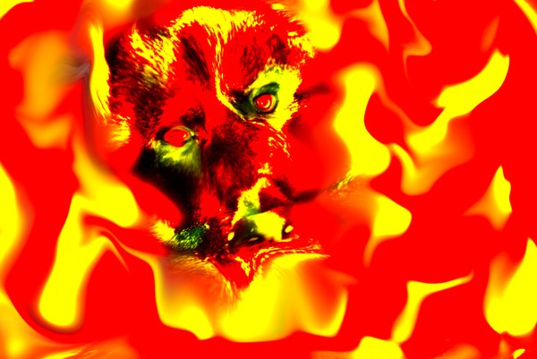 Demon Within