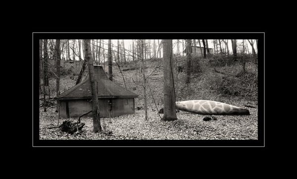 Hideaway
