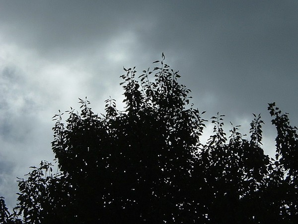 Shades of Grey Sky