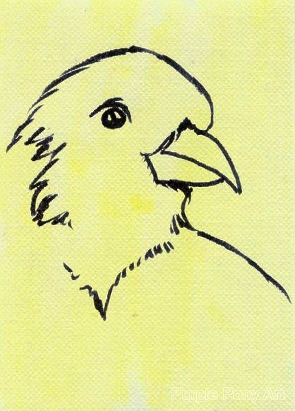 Sunshine Canary