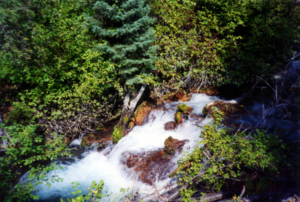 Upper City Creek 
