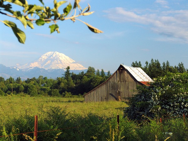 Mt Rainier