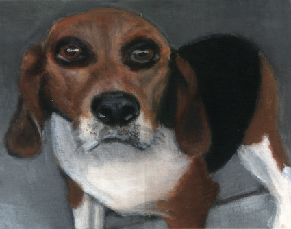 Dog #6
