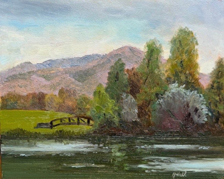 Liberty Park Pond #5