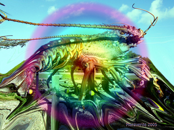 Lobster Fantasia