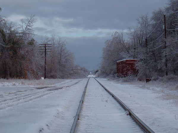 Snowy Tracks