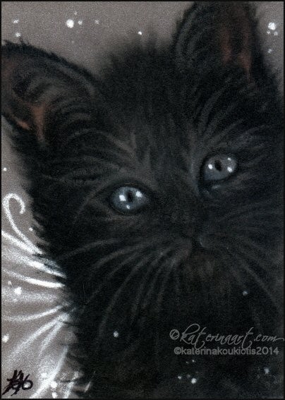 Black Fairy Kitty ACEO