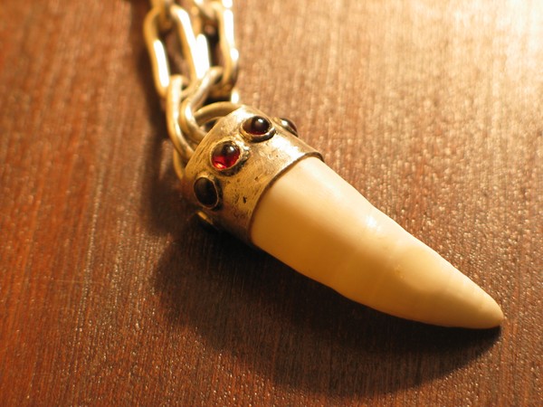 sterling chain w/alligator tooth &  garnets